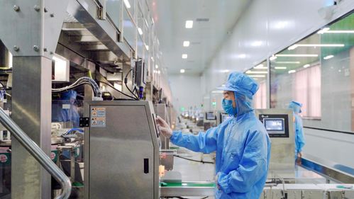 三只松鼠2025业绩预告发布 品质升级提速，渠道革新激活增长新动能